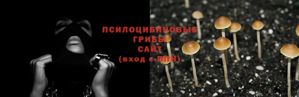 герыч Горняк