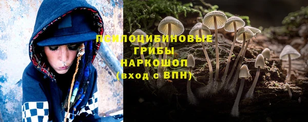 герыч Горняк
