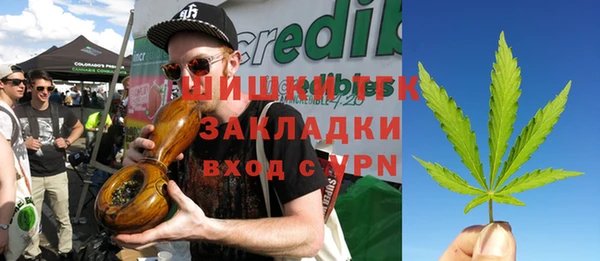МДПВ Горнозаводск